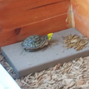 Meet your Posher, Cathy